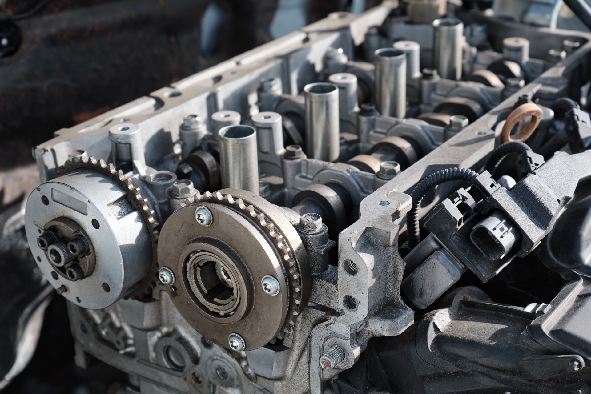 woman in brown long sleeve shirt reading book